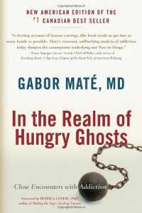 In the realm of hungry ghosts book cover